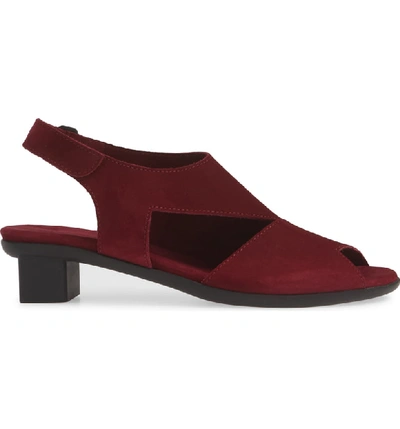 Shop Arche Obibbi Asymmetrical Slingback Sandal In Grenat Nubuck