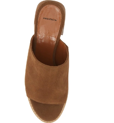 Shop Aquatalia Jayne Slide Sandal In Light Brown