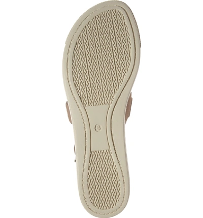 Shop Eileen Fisher Boost Wedge Sandal In Latte Nubuck