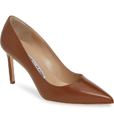Shop Manolo Blahnik Bb Pointed Toe Pump In Tan Leather