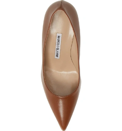 Shop Manolo Blahnik Bb Pointed Toe Pump In Tan Leather