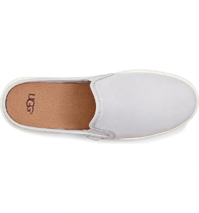 Ugg gene outlet mule