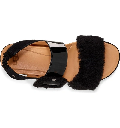 Shop Ugg Le Fluff Flatform Sandal In Black Suede