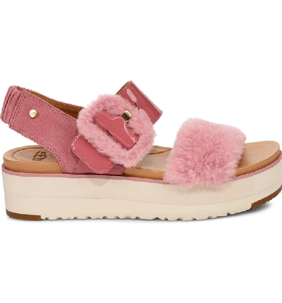 Shop Ugg Le Fluff Flatform Sandal In Pink Dawn Suede