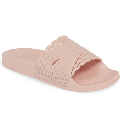 Shop Ted Baker Issley Slide Sandal In Pink Blossom Rubber