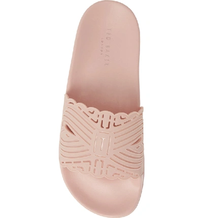 Shop Ted Baker Issley Slide Sandal In Pink Blossom Rubber