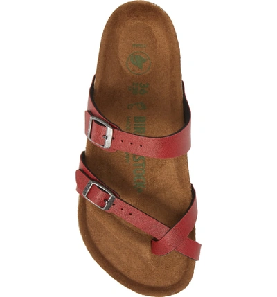 Shop Birkenstock Mayari Birko-flor(tm) Slide Sandal In Bordeaux Leather