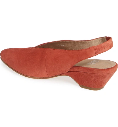 Shop Eileen Fisher Gatwick Slingback Pump In Spice Suede