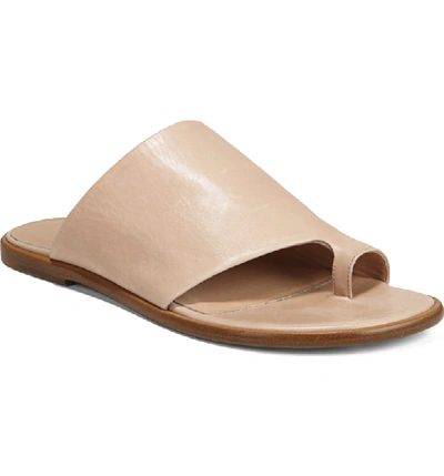 Shop Vince Edris Toe Loop Sandal In Putty