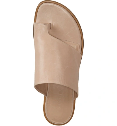 Shop Vince Edris Toe Loop Sandal In Putty