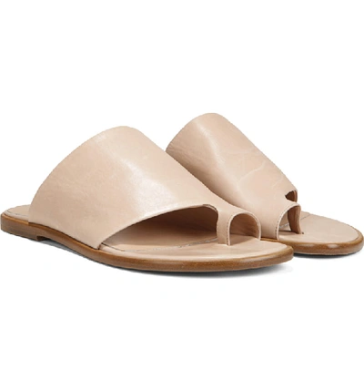 Shop Vince Edris Toe Loop Sandal In Putty