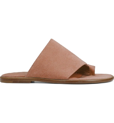 Shop Vince Edris Toe Loop Sandal In Terracotta Rose