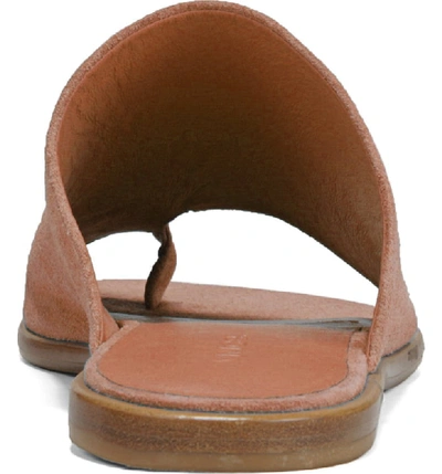 Shop Vince Edris Toe Loop Sandal In Terracotta Rose