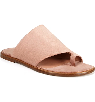 Shop Vince Edris Toe Loop Sandal In Blush