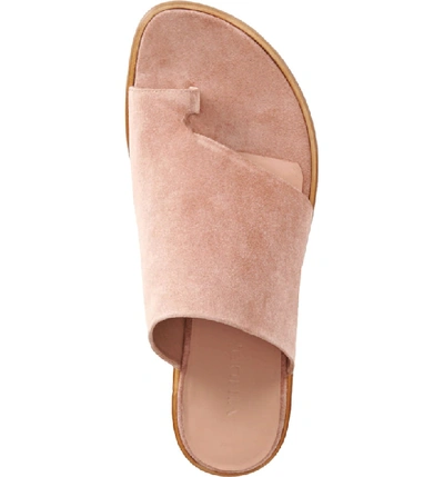 Shop Vince Edris Toe Loop Sandal In Blush