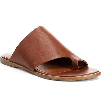 Shop Vince Edris Toe Loop Sandal In Cognac