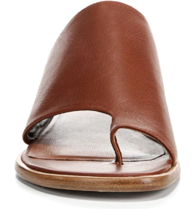 Shop Vince Edris Toe Loop Sandal In Cognac