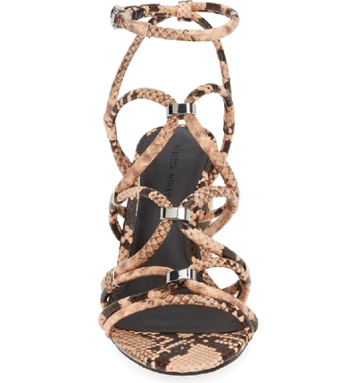 Shop Rebecca Minkoff Apolline Strappy Sandal In Rosewood Leather