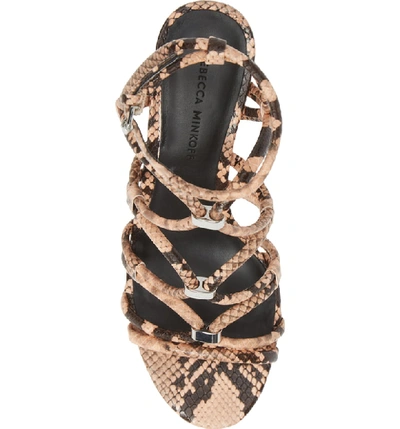 Shop Rebecca Minkoff Apolline Strappy Sandal In Rosewood Leather