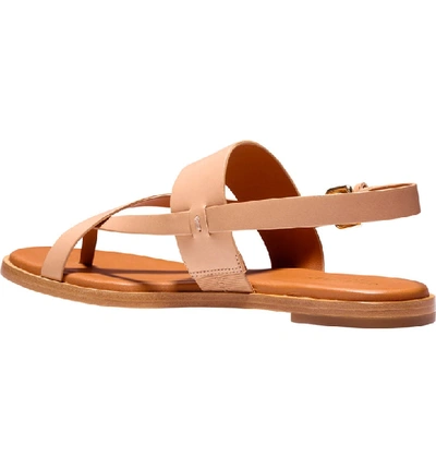 Shop Cole Haan Anica Sandal In Sahara Leather