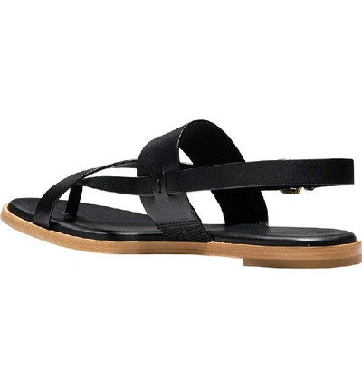 Shop Cole Haan Anica Sandal In Black Leather