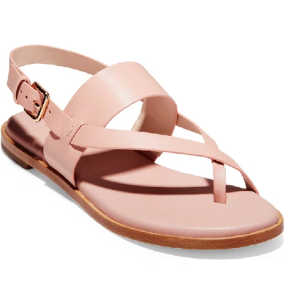 Shop Cole Haan Anica Sandal In Misty Rose Leather
