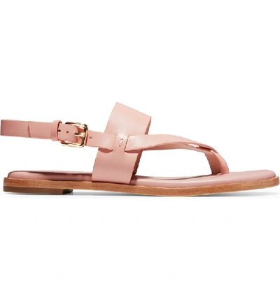 Shop Cole Haan Anica Sandal In Misty Rose Leather