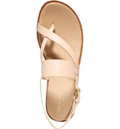 Shop Cole Haan Anica Sandal In Nude Leather