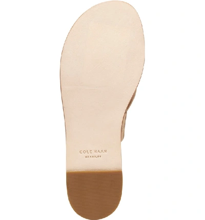 Shop Cole Haan Anica Sandal In Nude Leather
