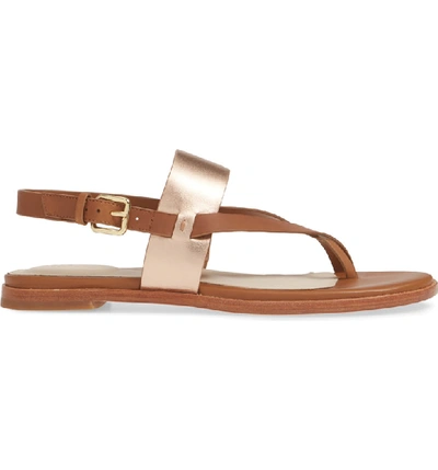 Shop Cole Haan Anica Sandal In Pecan/ Rose Gold Leather