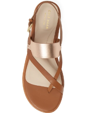 Shop Cole Haan Anica Sandal In Pecan/ Rose Gold Leather