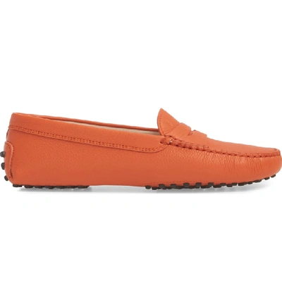 Shop Tod's 'gommini' Driving Moccasin In Orange Brick