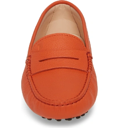 Shop Tod's 'gommini' Driving Moccasin In Orange Brick