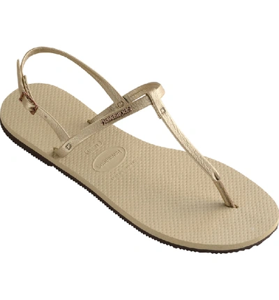 Shop Havaianas You Riviera Sandal In Sand Grey