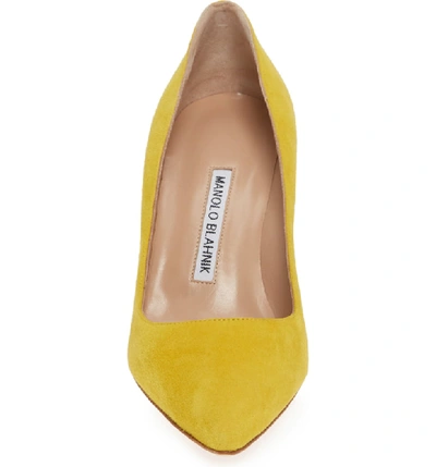 Shop Manolo Blahnik Bb Pointy Toe Pump In Lemon Yellow Suede