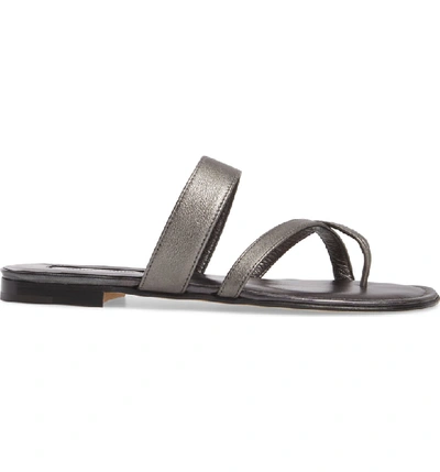 Shop Manolo Blahnik Slide Sandal In Antracite