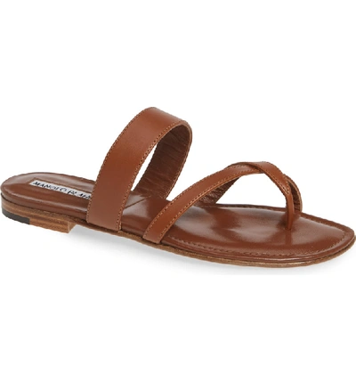 Shop Manolo Blahnik Slide Sandal In Luggage Brown