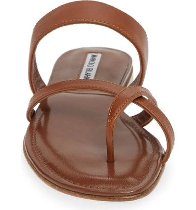 Shop Manolo Blahnik Slide Sandal In Luggage Brown