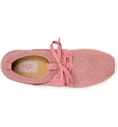 Shop Ugg Willows Sneaker In Pink Dawn