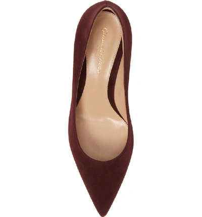 Shop Gianvito Rossi Pointed Toe Pump In Royale Burgundy Suede