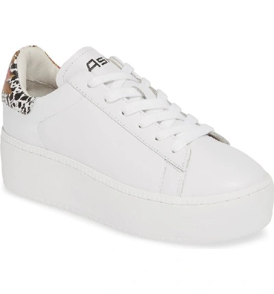 Shop Ash Cult Platform Sneaker In White/ Flower Pattern Leather