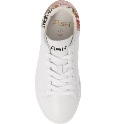 Shop Ash Cult Platform Sneaker In White/ Flower Pattern Leather