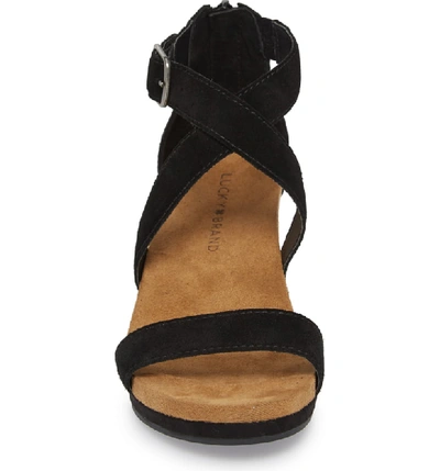 Shop Lucky Brand Kenadee Wedge Sandal In Black Suede