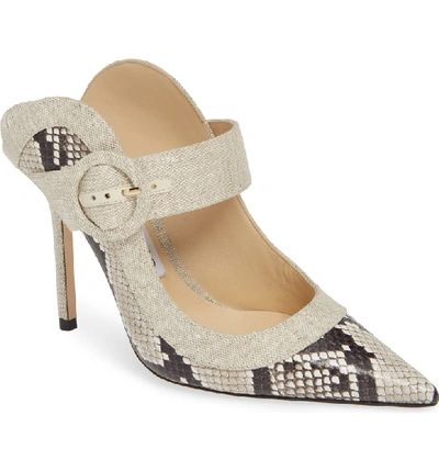 Shop Jimmy Choo Hendrix Snakeskin Mule In Natural Snakeskin