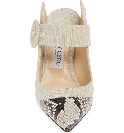 Shop Jimmy Choo Hendrix Snakeskin Mule In Natural Snakeskin