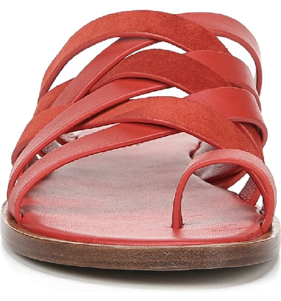 Shop Vince Piers Strappy Toe Loop Sandal In Adobe Red