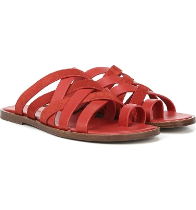 Shop Vince Piers Strappy Toe Loop Sandal In Adobe Red