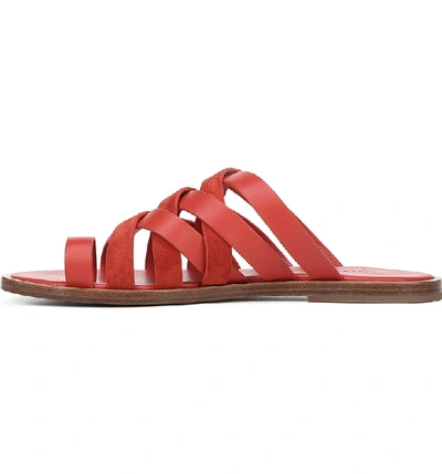 Shop Vince Piers Strappy Toe Loop Sandal In Adobe Red