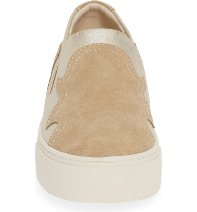 Shop Ariat Gigi Slip-on Sneaker In Light Tan Suede