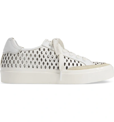 Shop Rag & Bone Army Perforated Low Top Sneaker In White